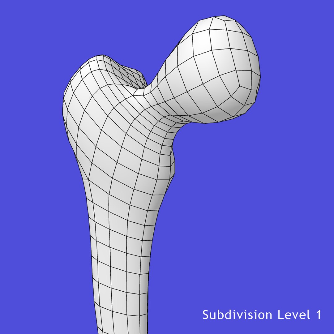 3d model skeleton rigged body bone https://p.turbosquid.com/ts-thumb/LP/WF8etp/fIcmlfKm/w6/jpg/1423763362/1920x1080/fit_q87/6a08bb397ea99a35f4ed0114b80eb09677229583/w6.jpg