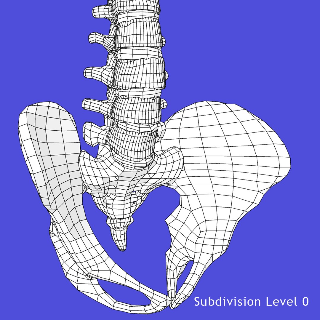 3d model skeleton rigged body bone https://p.turbosquid.com/ts-thumb/LP/WF8etp/l0RNGXPt/w1/jpg/1423762340/1920x1080/fit_q87/2d44c1221a76bbbba64b20f604ae51311213f1eb/w1.jpg