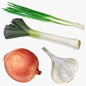 The Allium Family Vegatables 4 in 1