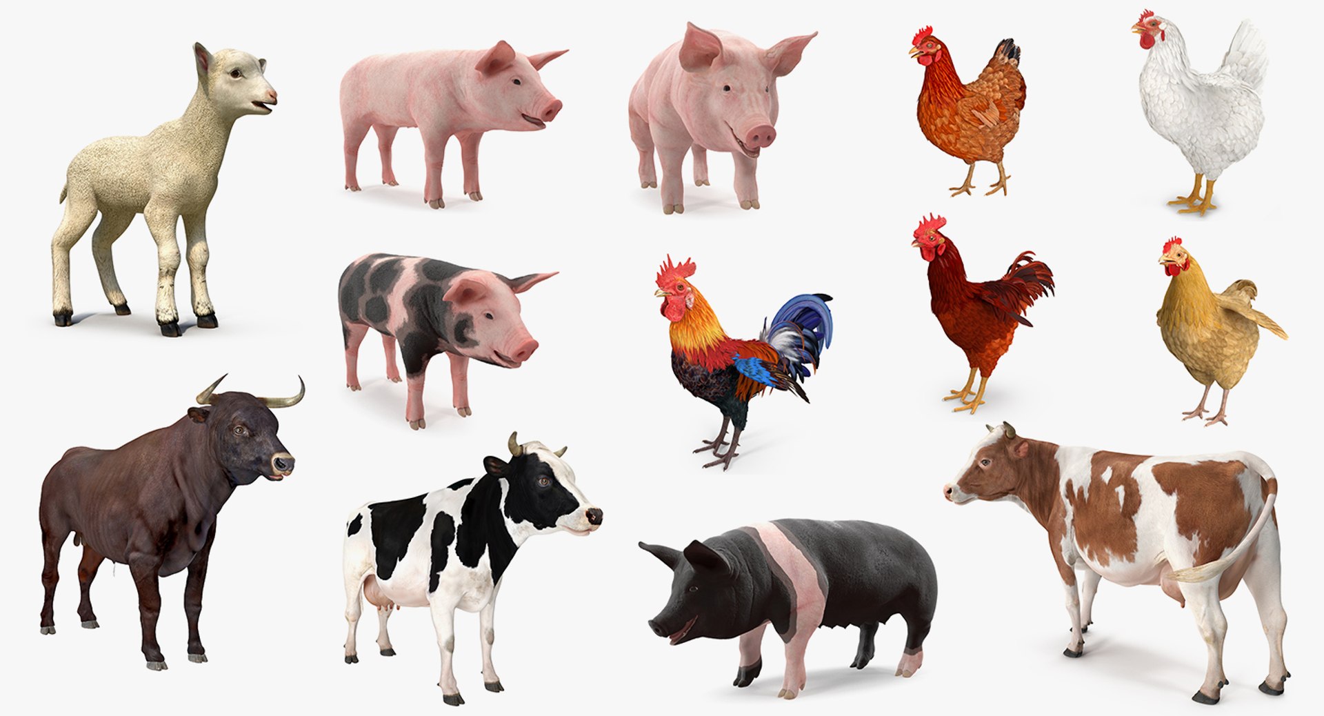 Farm Animals Big Rigged Collection for Maya 3D model preview
