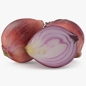 Red Onions 2 3D model