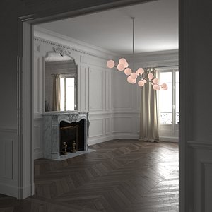 Haussmann Parisian Interior