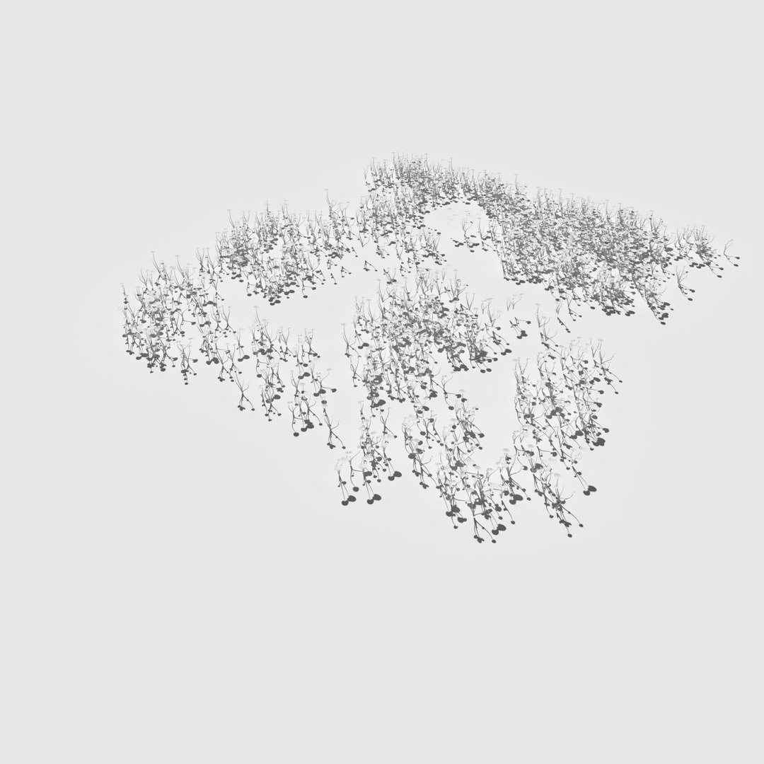 meadow patch grass 3D model https://p.turbosquid.com/ts-thumb/LP/oRqMK9/nqBmKFpS/meadowpatch_ryegrass_preview_16/png/1571052557/1920x1080/fit_q87/4eb583df9717d0f82338025bc19989fa07d81d09/meadowpatch_ryegrass_preview_16.jpg