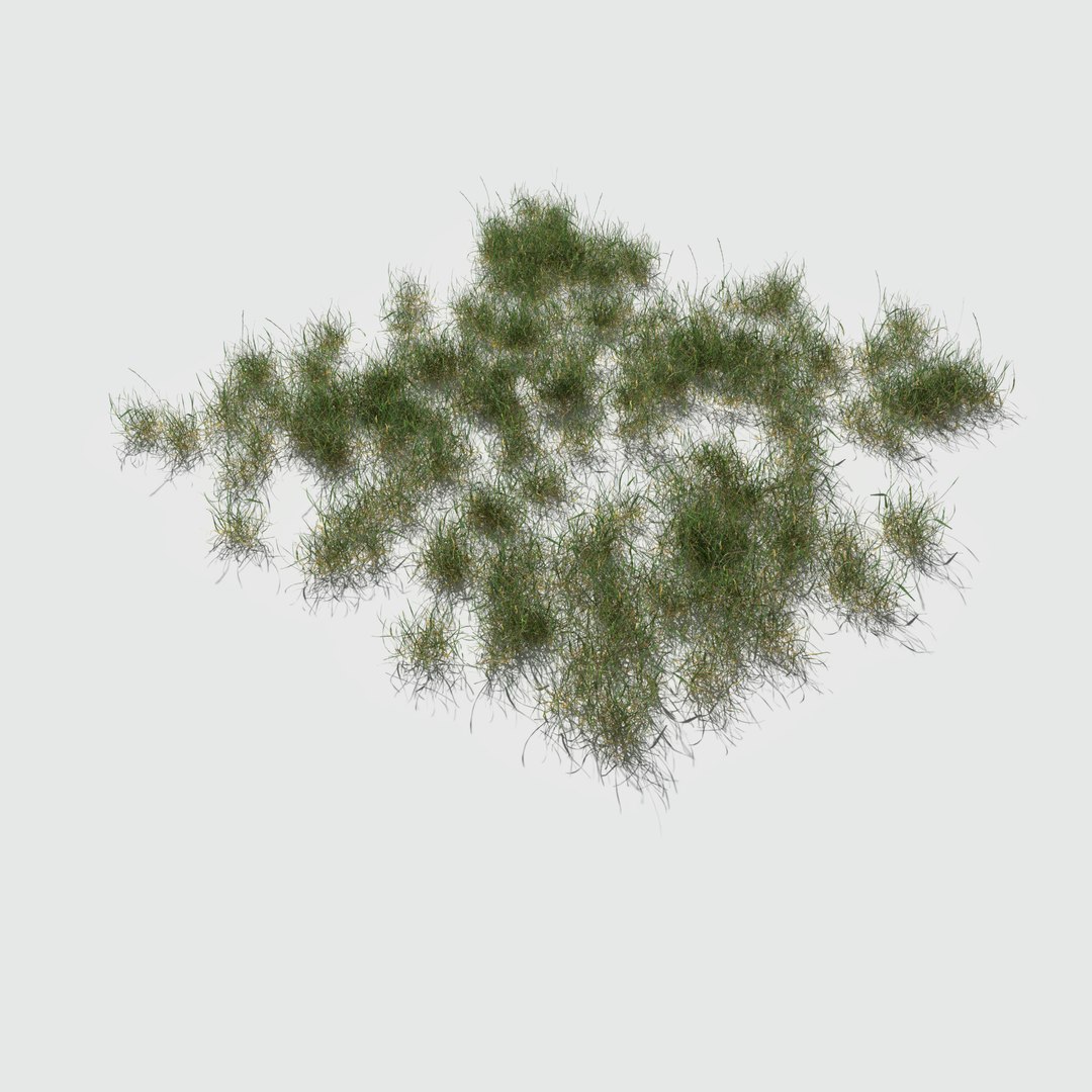 meadow patch grass 3D model https://p.turbosquid.com/ts-thumb/LP/oRqMK9/okAxVoqa/meadowpatch_ryegrass_preview_17/png/1571052613/1920x1080/fit_q87/c87ac1827a49f498e881ae0b7590876cbe47a266/meadowpatch_ryegrass_preview_17.jpg
