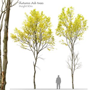 3D Autumn Jungle trees set