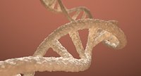 DNA Double Helix (Blender)