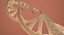 DNA Double Helix (블렌더)