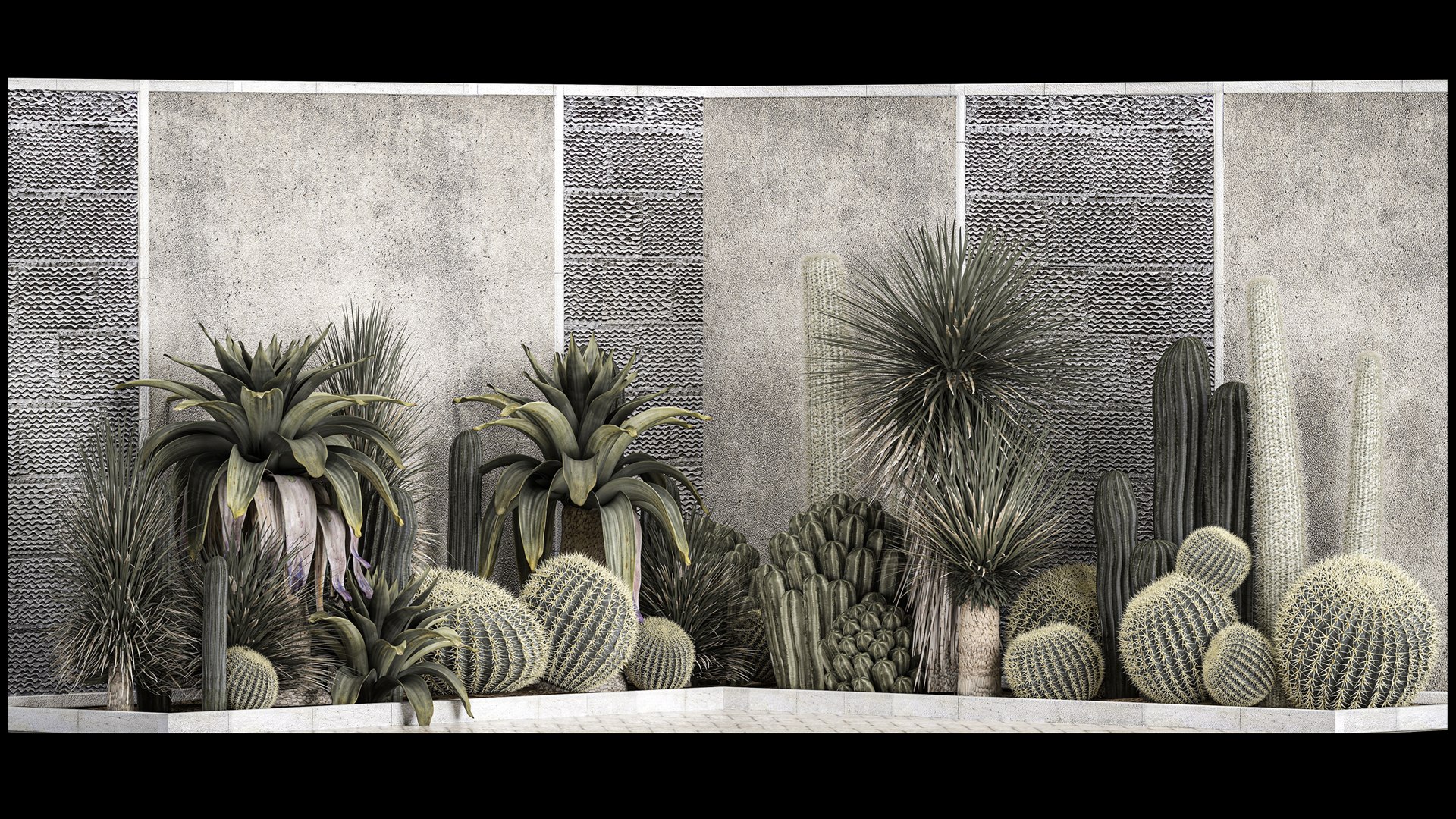 3D Collection Of Tropical Desert Plants https://p.turbosquid.com/ts-thumb/LP/qhJWnw/O5/1plantset2709202202/jpg/1664456419/1920x1080/fit_q87/68701945f4e9c55e853fcf1de7be66675a02b15e/1plantset2709202202.jpg