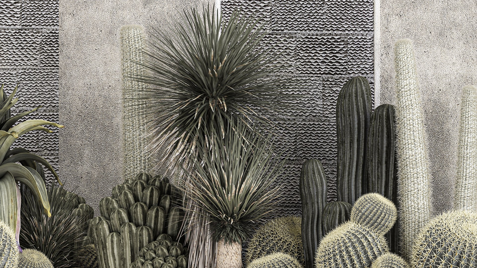 3D Collection Of Tropical Desert Plants https://p.turbosquid.com/ts-thumb/LP/qhJWnw/bg/1plantset2709202204/jpg/1664456421/1920x1080/fit_q87/8897f644462ce7badff40fc79fd7bbd0b7106824/1plantset2709202204.jpg