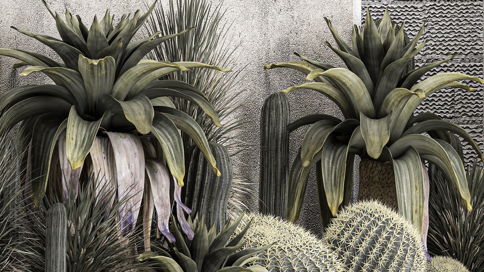 3D Collection Of Tropical Desert Plants https://p.turbosquid.com/ts-thumb/LP/qhJWnw/tn/1plantset2709202205/jpg/1664456419/1920x1080/fit_q87/fc22899774af2f9975a2f311d879179295074872/1plantset2709202205.jpg