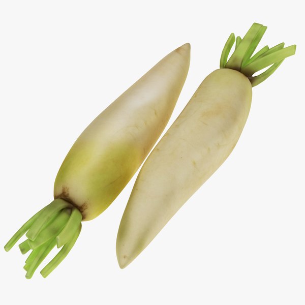 3d White Radish Model Turbosquid 1553683