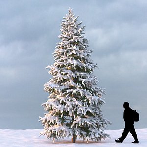 winter tree 3d max