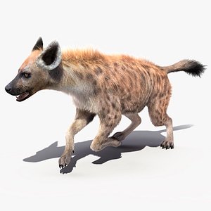 running pose fur hyena 3D model