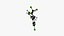 DDT Molecule