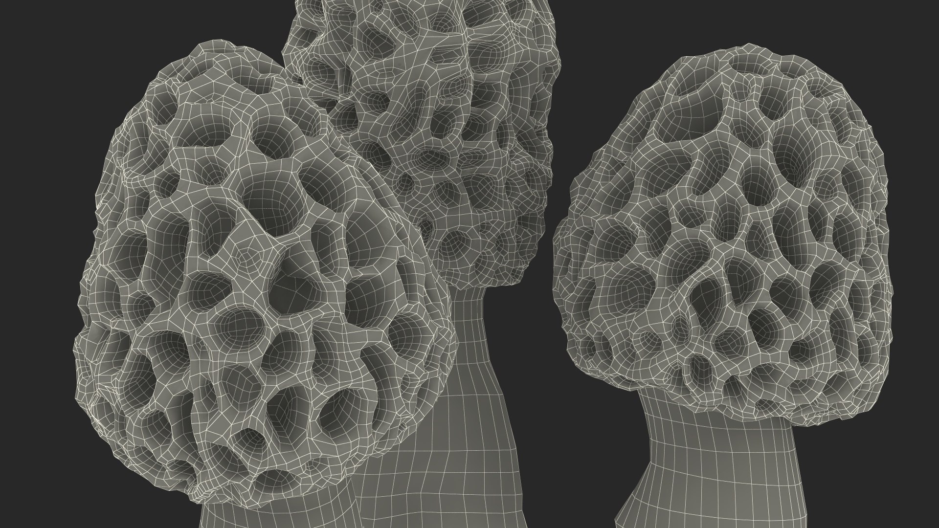 Morel Mushrooms 3D model https://p.turbosquid.com/ts-thumb/LQ/OPJsod/6e/morelmushrooms3dmodel025/jpg/1691045336/1920x1080/fit_q87/274aa0f5b76a87ec4459d686b14342be3fe2c793/morelmushrooms3dmodel025.jpg