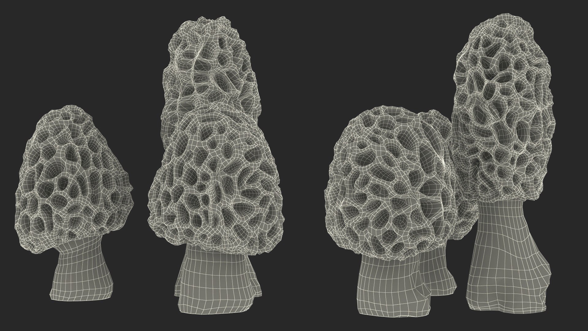 Morel Mushrooms 3D model https://p.turbosquid.com/ts-thumb/LQ/OPJsod/Kq/morelmushrooms3dmodel022/jpg/1691045326/1920x1080/fit_q87/17b10ee1750cc0ea036b84661a82e84b47f27aba/morelmushrooms3dmodel022.jpg
