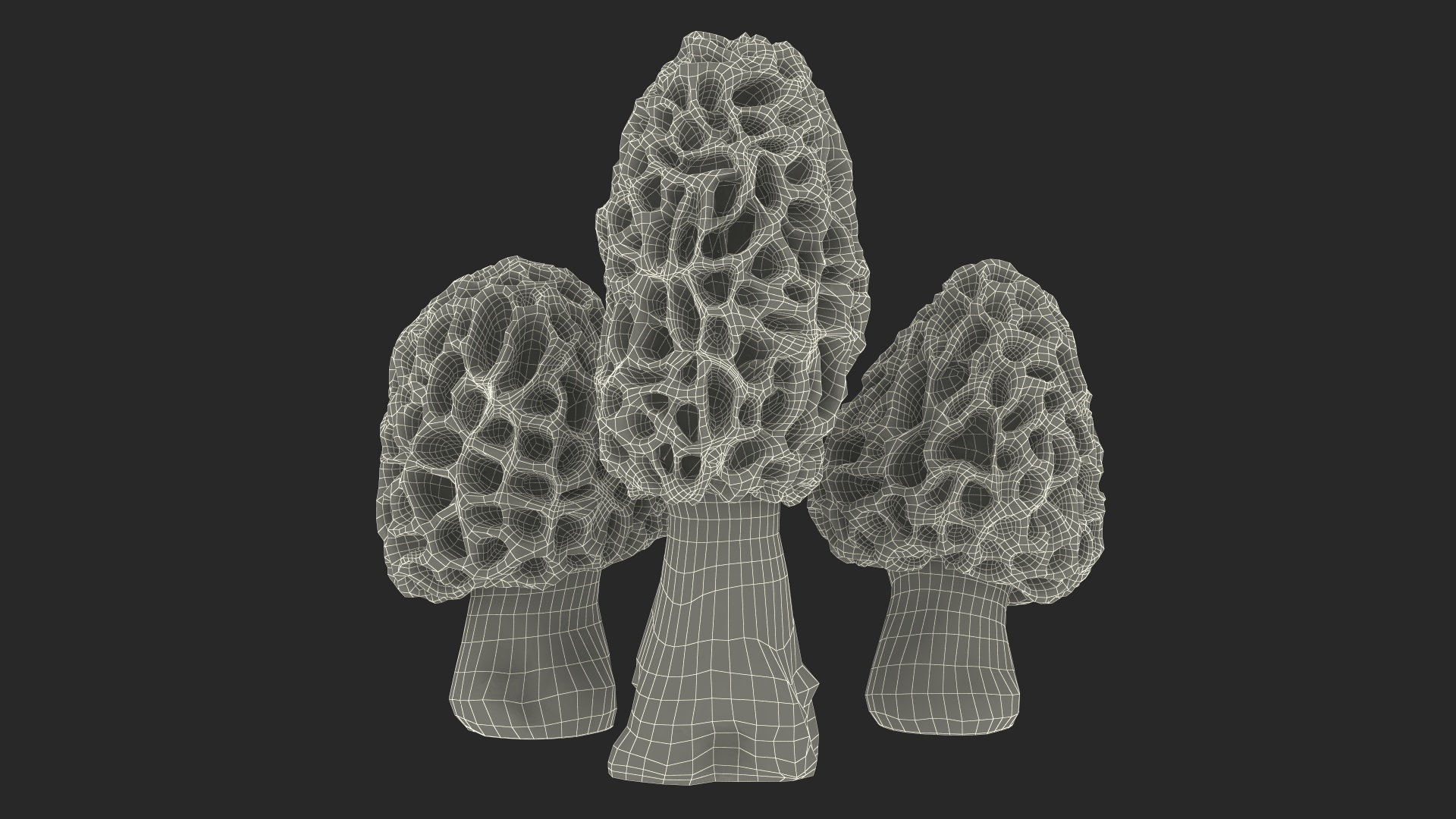 Morel Mushrooms 3D model https://p.turbosquid.com/ts-thumb/LQ/OPJsod/TV/morel_mushrooms_361/jpg/1691045090/1920x1080/turn_fit_q99/13f5b8f44bd0cba0c3d8e59e6a6aaded7728bd25/morel_mushrooms_361-1.jpg