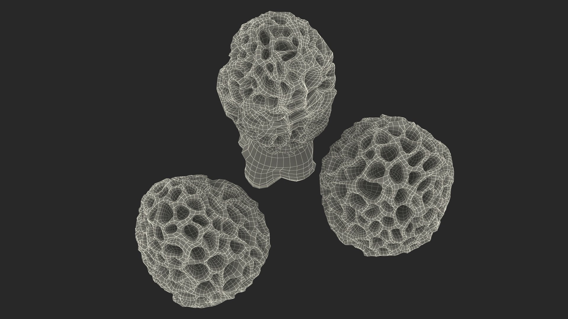 Morel Mushrooms 3D model https://p.turbosquid.com/ts-thumb/LQ/OPJsod/aJ/morelmushrooms3dmodel023/jpg/1691045330/1920x1080/fit_q87/4fc7cd06735dd18df3ebff0264814f166aa3130d/morelmushrooms3dmodel023.jpg