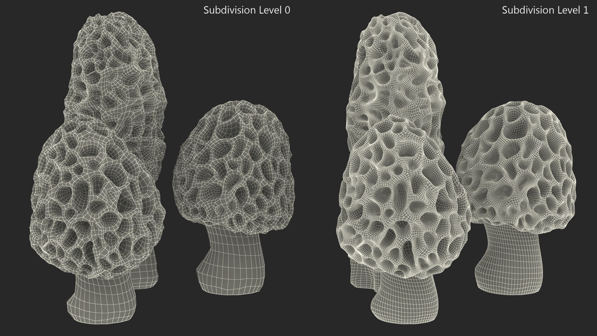 Morel Mushrooms 3D model https://p.turbosquid.com/ts-thumb/LQ/OPJsod/cz/morelmushrooms3dmodel014/jpg/1691045299/1920x1080/fit_q87/df8bbfc3b017941b48222bf01abf61fd8a4404b4/morelmushrooms3dmodel014.jpg