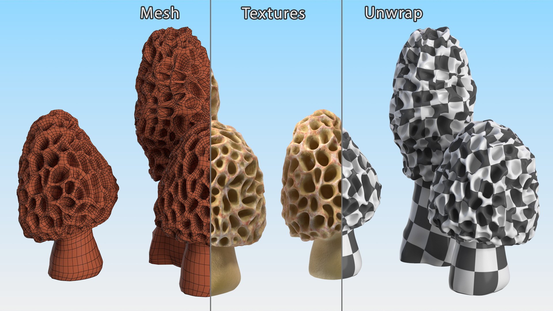 Morel Mushrooms 3D model https://p.turbosquid.com/ts-thumb/LQ/OPJsod/iH/morelmushrooms3dmodel013/jpg/1691045296/1920x1080/fit_q87/c8b6c7583daa26f16556351185a040f3d6734435/morelmushrooms3dmodel013.jpg