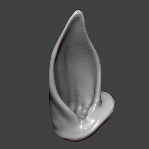 Horse Foal Ear Highpoly Sculpt