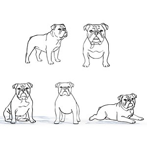 3D Bulldog Line Art Collection 5 Minimal Dog Designs