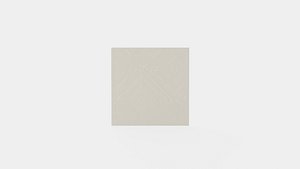 3D Rug model
