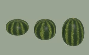 3D Watermelon