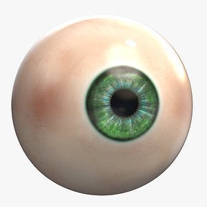 model Human Eye 002 PBR 8K