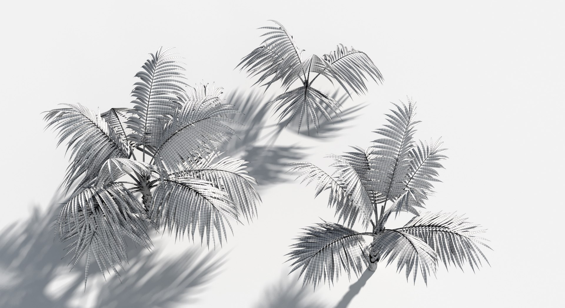 Plants Pack 6: Rainforest: GrowFX 3D model https://p.turbosquid.com/ts-thumb/LR/7xypMj/0H/palm_kentia4/jpg/1623755603/1920x1080/fit_q87/d986c0bc8f380261c15e79fcc4f466bad78e09e3/palm_kentia4.jpg