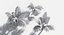 Пакет растений 6: Тропический лес: GrowFX