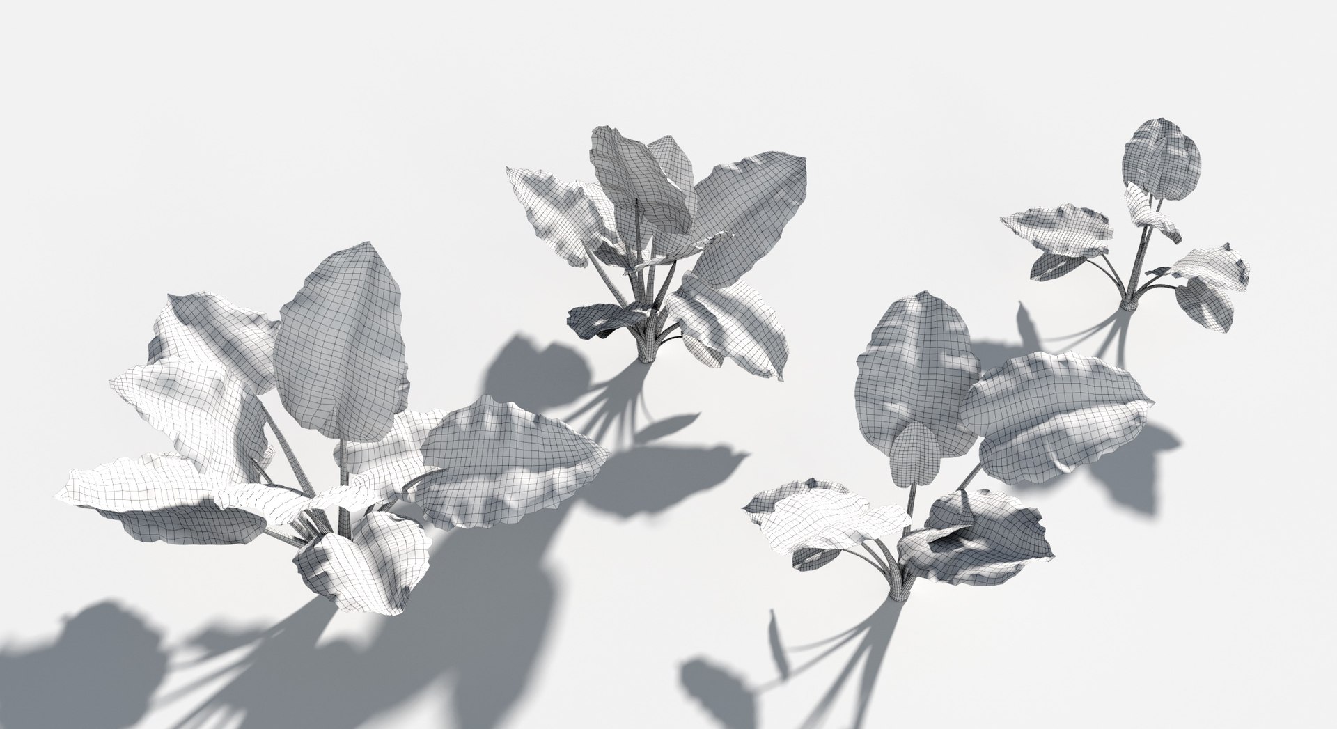 Plants Pack 6: Rainforest: GrowFX 3D model https://p.turbosquid.com/ts-thumb/LR/7xypMj/Ef/giant_taro5/jpg/1623755606/1920x1080/fit_q87/3fefd18f4619d4dd9b9d89980718ee22ee0d443e/giant_taro5.jpg