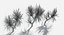 Пакет растений 6: Тропический лес: GrowFX