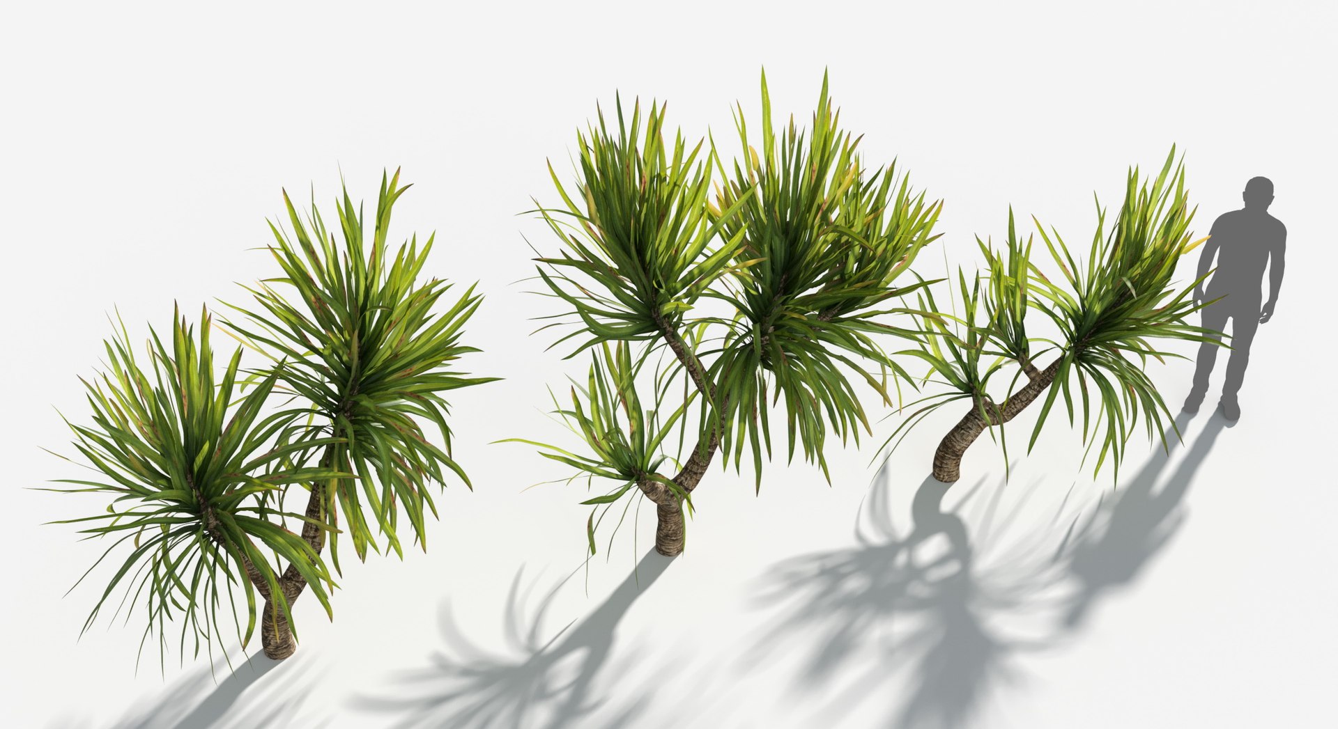 Plants Pack 6: Rainforest: GrowFX 3D model https://p.turbosquid.com/ts-thumb/LR/7xypMj/GF/madagascar_dragon3/jpg/1623755589/1920x1080/fit_q87/eb88a2d7abb71f53c9d068bf51a917f4be4af4f9/madagascar_dragon3.jpg