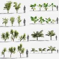Plants Pack 6: Rainforest: GrowFX
