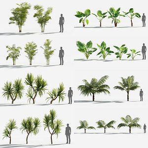 Plants Pack 6: Rainforest: GrowFX