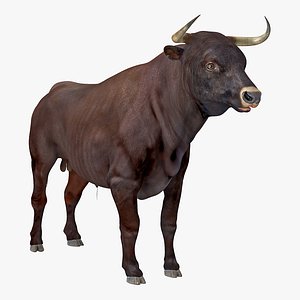 bull realistic 3D