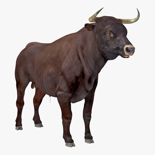 bull realistic 3D