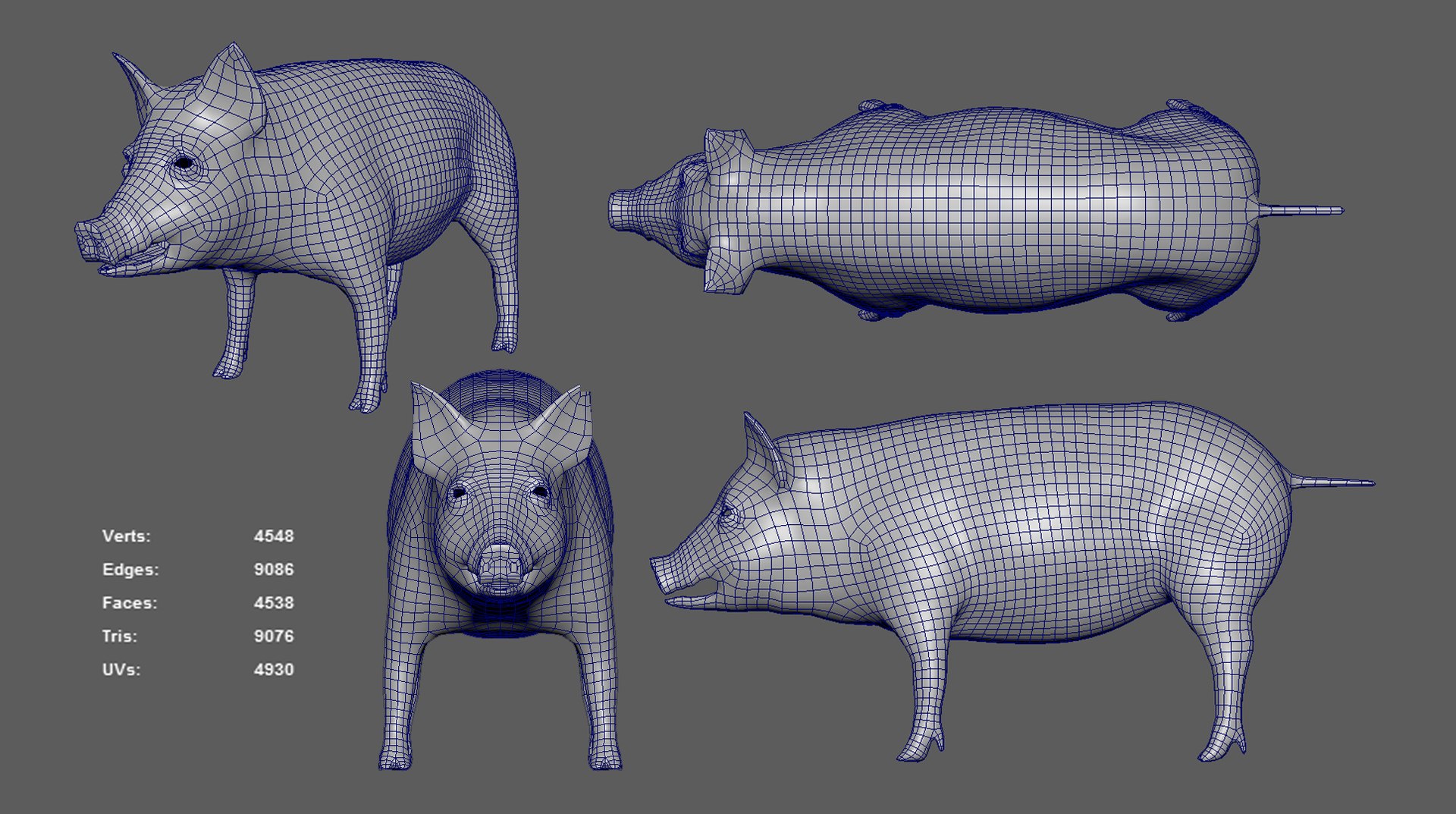 Pig Animal Nature 3D - TurboSquid 1559949