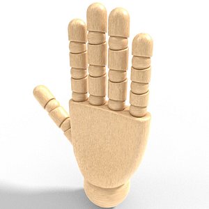3D Manikin Hand model