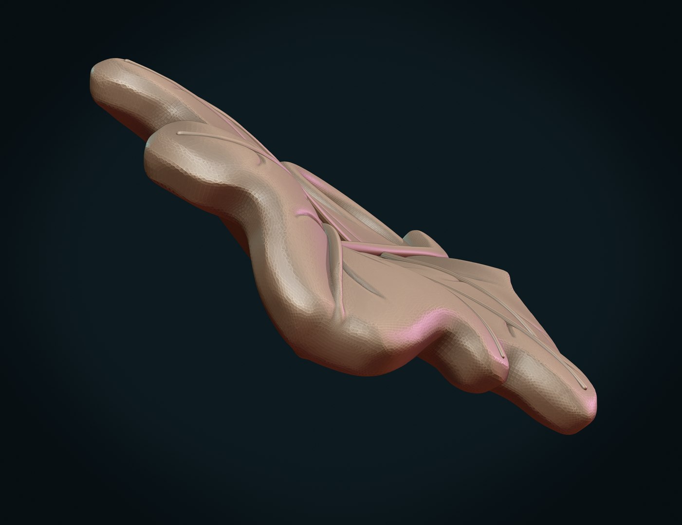 Oak Leaf IIx model https://p.turbosquid.com/ts-thumb/LR/UKVPo1/Os/oaklii09/png/1618636771/1920x1080/fit_q87/64c79934a7181d2586a8e5bf53d2dc23eb89fe4e/oaklii09.jpg