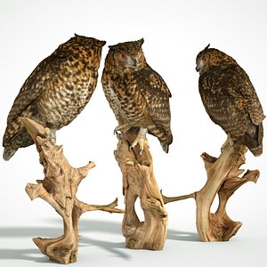 animal scanned unity 3D model