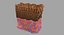 epithelial cells types collection