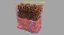 epithelial cells types collection