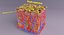 epithelial cells types collection