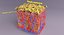 epithelial cells types collection