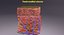 epithelial cells types collection