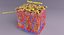 epithelial cells types collection