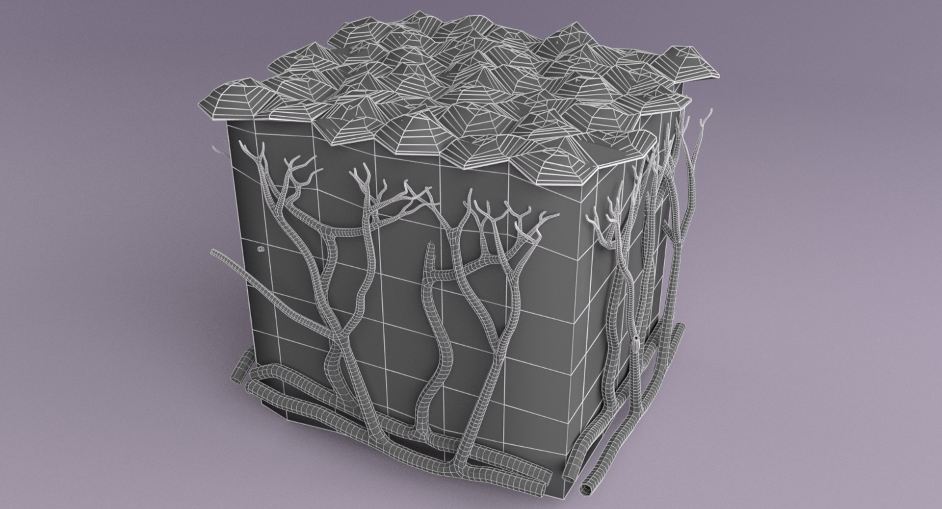 types skin squamous 3D https://p.turbosquid.com/ts-thumb/LR/XYodDw/Xko0bbs8/w5/png/1537108092/1920x1080/fit_q87/b24a55f7150293325ea566665814833c7857f3f2/w5.jpg