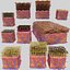 epithelial cells types collection